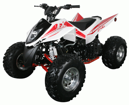 Квадроцикл ATV Irbis K250 новый
